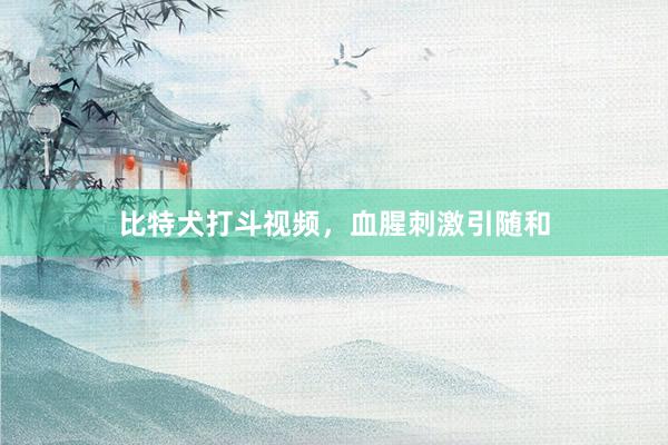 比特犬打斗视频,血腥刺激引随和